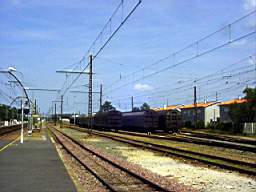 DSC07425.JPG