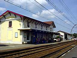 DSC07427.JPG