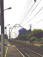 DSC07429.JPG