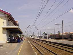 DSC07430.JPG